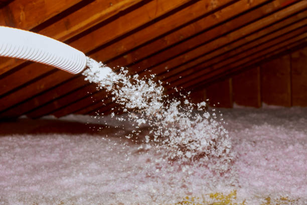 Best Residential Insulation in Bellville, TX