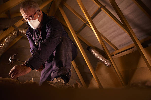 Best Insulation Installation Services in Bellville, TX
